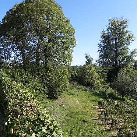 Chateau Belles Graves Bed & Breakfast Pomerols ภายนอก รูปภาพ