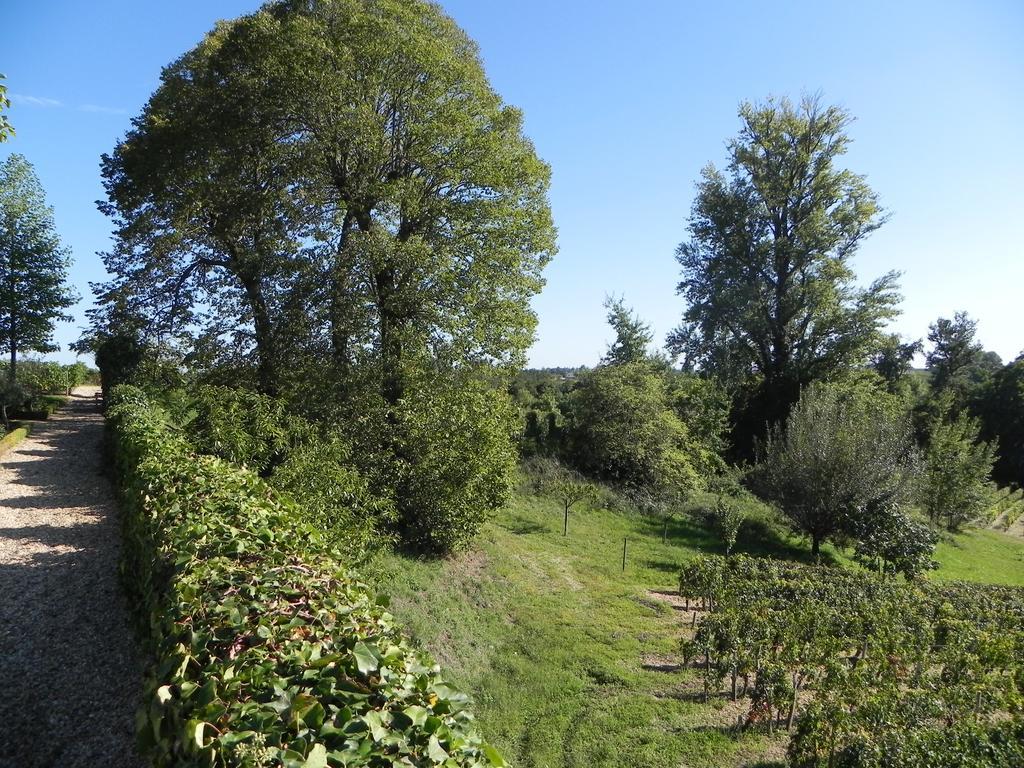 Chateau Belles Graves Bed & Breakfast Pomerols ภายนอก รูปภาพ