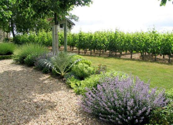 Chateau Belles Graves Bed & Breakfast Pomerols ภายนอก รูปภาพ