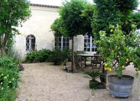 Chateau Belles Graves Bed & Breakfast Pomerols ภายนอก รูปภาพ