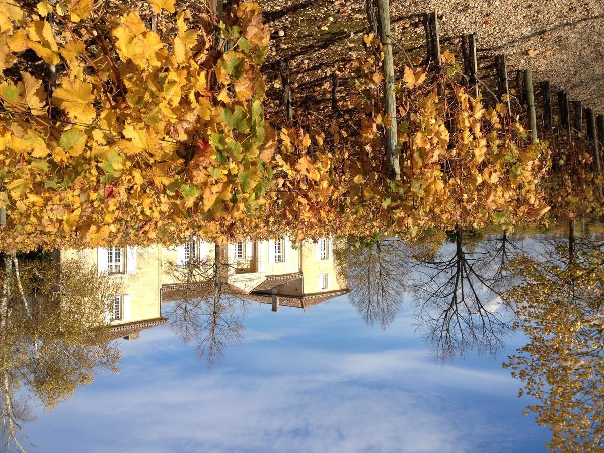 Chateau Belles Graves Bed & Breakfast Pomerols ภายนอก รูปภาพ