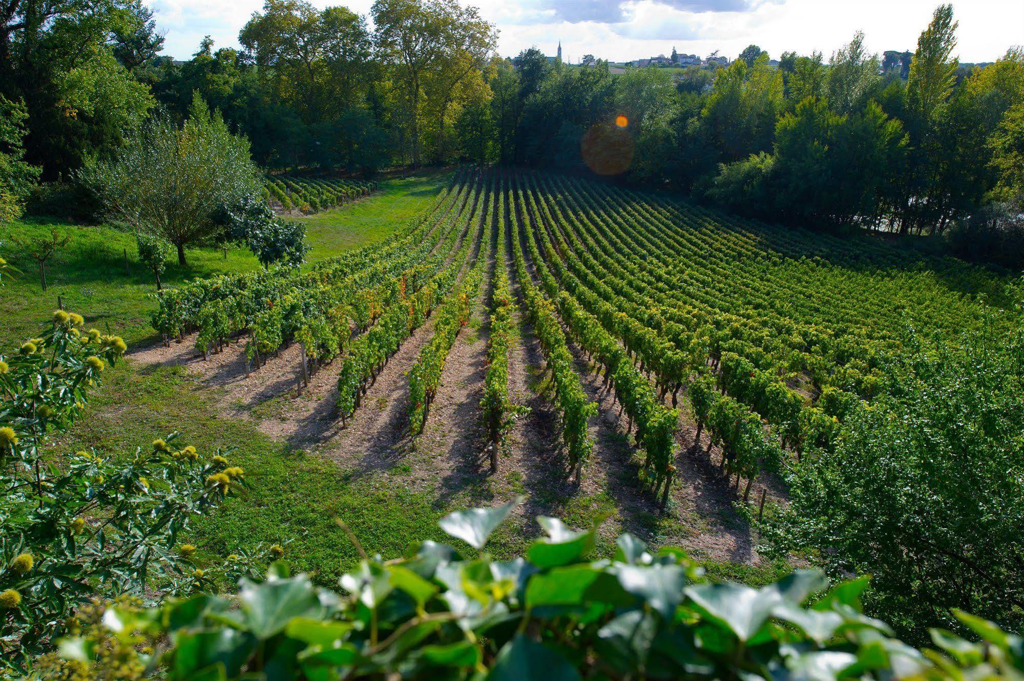 Chateau Belles Graves Bed & Breakfast Pomerols ภายนอก รูปภาพ